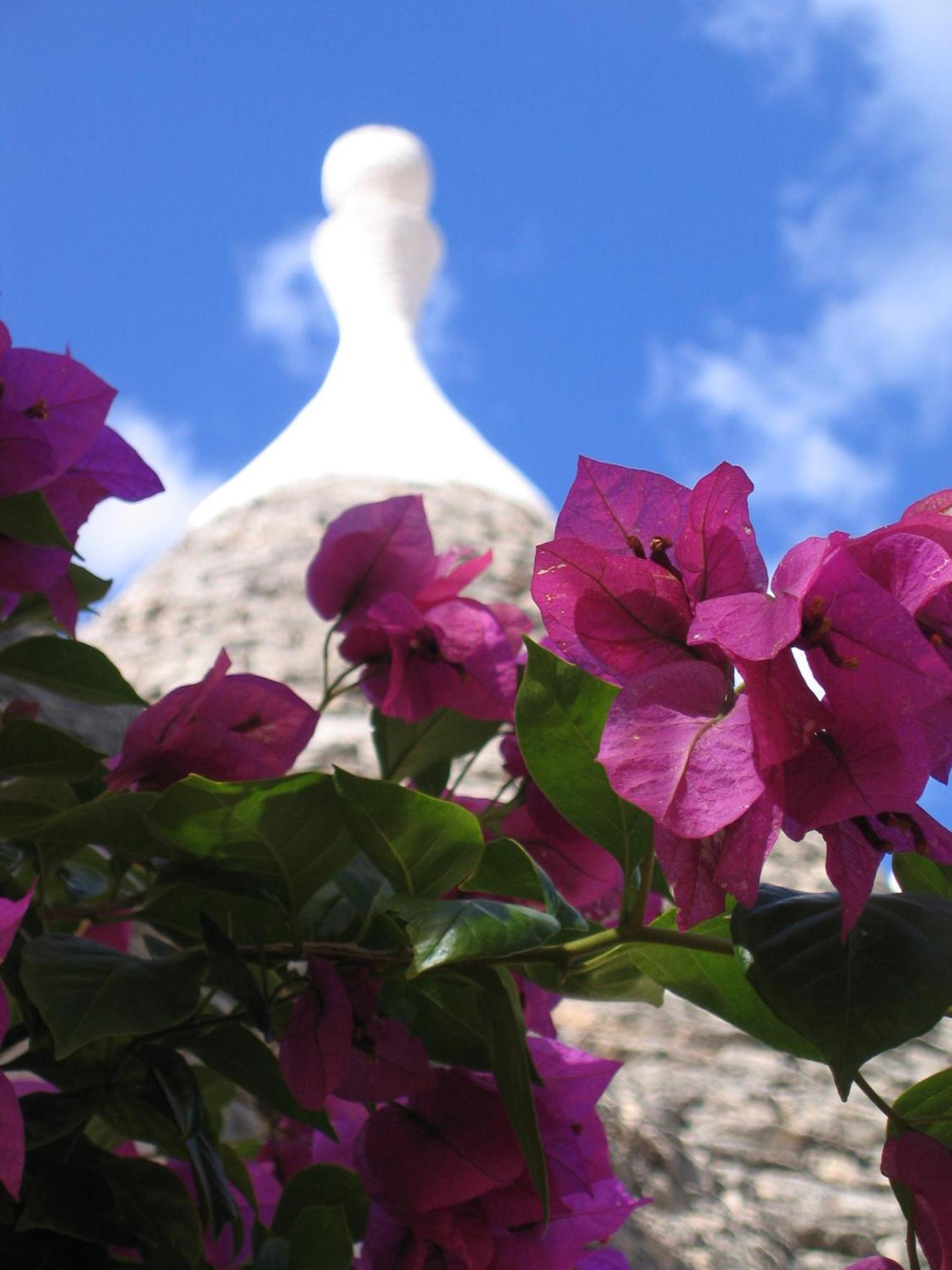 Vacanza In Puglia ألبيروبيللو المظهر الخارجي الصورة