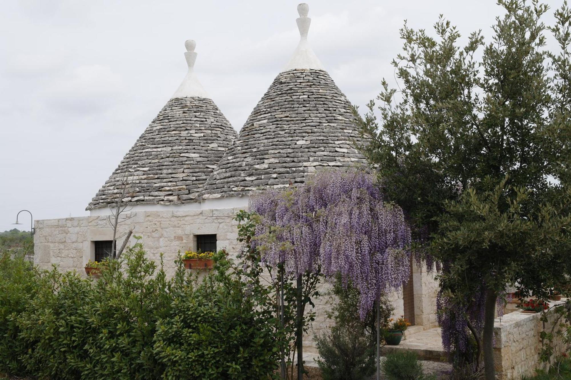 Vacanza In Puglia ألبيروبيللو المظهر الخارجي الصورة